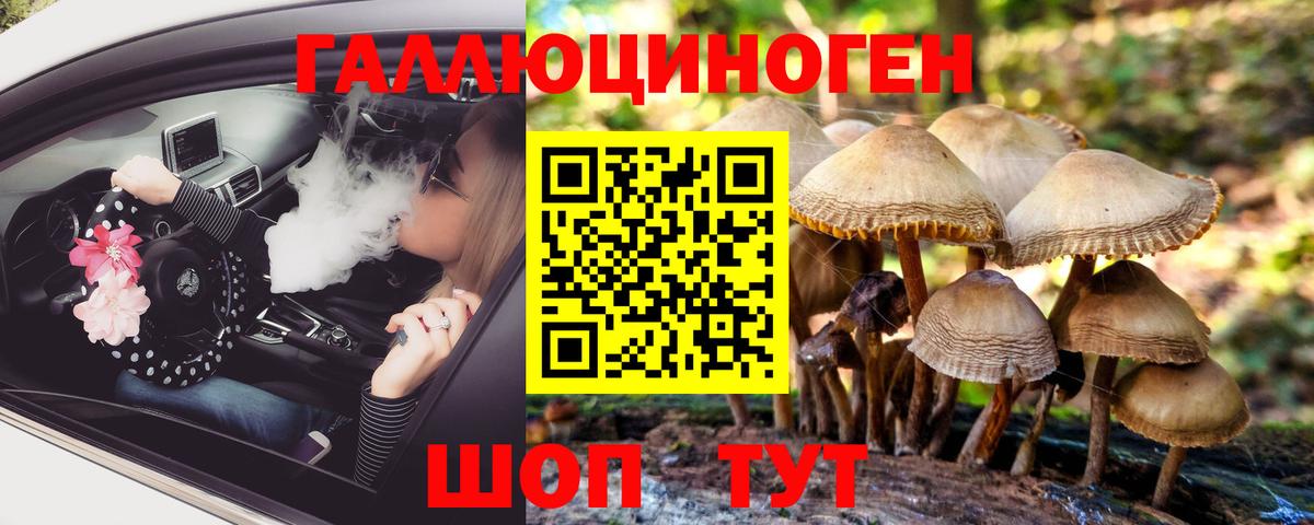 Волгодонск  Галлюциногенные грибы Magic Shrooms  купить закладку  Галлюциногенные грибы прущие грибы  Вход с VPN 